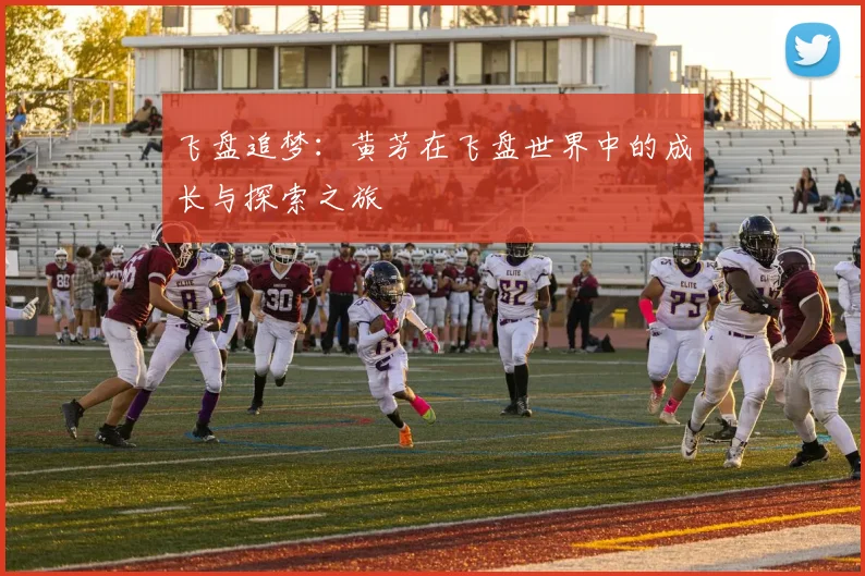 飞盘追梦：黄芳在飞盘世界中的成长与探索之旅